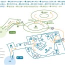 반디랜드 곤충박물관 전시실 이미지