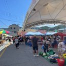 강원특별자치도 정선군 임계면 행정복지센터 이미지