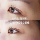 일랑일랑뷰티