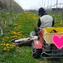 진 농장 이미지