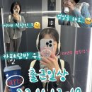 디시에프(주) 서울관악지방노동사무소 | 출근일상(23.11.13.-11.19)
