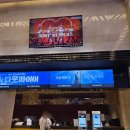 집중국 2층 C구역 | 뮤지컬 미세스다웃파이어 황정민 캐스팅 샤롯데 2층 C구역 후기