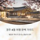 신평동1080 | 경주 4월 여행 완벽 가이드