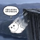 가자 펫택시 강릉점 | 인생에 우정은 필수입니다 왜냐면 원래 그럼 - 강릉여행기
