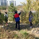 초지중학교 이미지