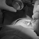 관악전치과의원 이미지