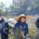 객현2리 이미지