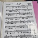 서귀포교회 이미지