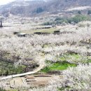 매화농업협동조합 이미지