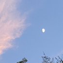 줌마 - 동구 서석로 56 | [알줌마 알바일지 18] 백반집 알바후기