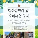 군민족구장 이미지