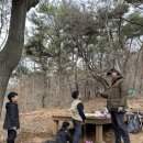 곰솔농장