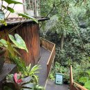 연빈화실 | 발리 우붓 3일