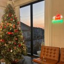 주홍목장 | [김해진영] 분위기 좋고 그릭요거트가 맛있는, 코트니타이거