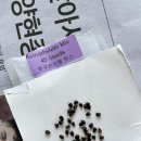 용미사 이미지