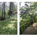 무등파크호텔사우나 이미지