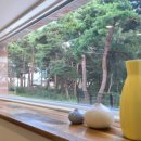 솔숲민박 이미지