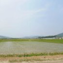 충주주덕공인중개사사무소 이미지