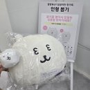 쿠지헤어 - 도봉구 | 나가노마켓 SEOUL 성수 농담곰 굿즈 쿠지 후기