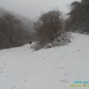 임신마을 이미지