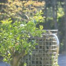 삼달1리 이미지