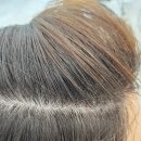 세아미용실 - 해운대구 송정중앙로9번길 82 | 야탑 미용실 두피클리닉 후기 (세아 원장)