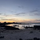 스테이 미엘 이미지