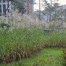 한국폴리텍 I 대학 성남캠퍼스 이미지