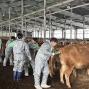 수정축산 이미지