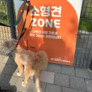 우프동물농장 이미지