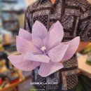 한국무용도라지 이미지