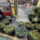 박대 경로당 이미지