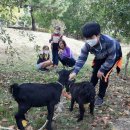 박경자농장 이미지