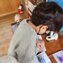 팔영산야영장 이미지