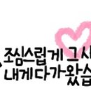 예쁜 손글씨 티스토리