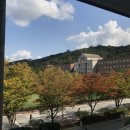 맘스터치 삼풍점 | 逃避(도피)