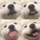 가나PC방 이미지