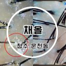채올 | 청주 두피관리 운천동 채올 문제성케어 후기
