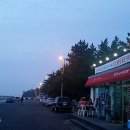 914 해변 캠핑장