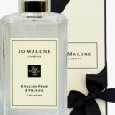 코롱코롱 이미지