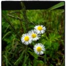 석모도 이야기 이미지