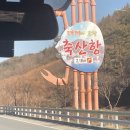 영덕, 축산항과 영덕대게