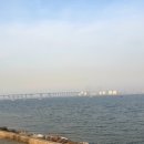 상일농장 이미지