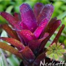 공동농장 이미지