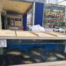 싱싱주물럭어탕국수 | [창원 마산] 마산 해운동 맛집 보양식 ‘경호강 어탕’ 솔직후기! 🐟