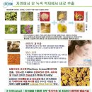 이오비즈 이미지