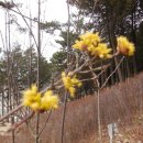산아래 이미지