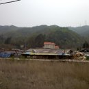 절터골1 Daum카페