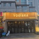 (제주술집/아라) 제주 아라동 맛집 데이트 장소로 좋은 핫플각 요리주점 '요기아라'