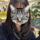 [페니의 리뷰로그] 리안헤어 평촌역점 혜민디자이너 내돈내산 이벤트 후기 (25.01.01)